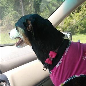 Meet your Posher, Caleb